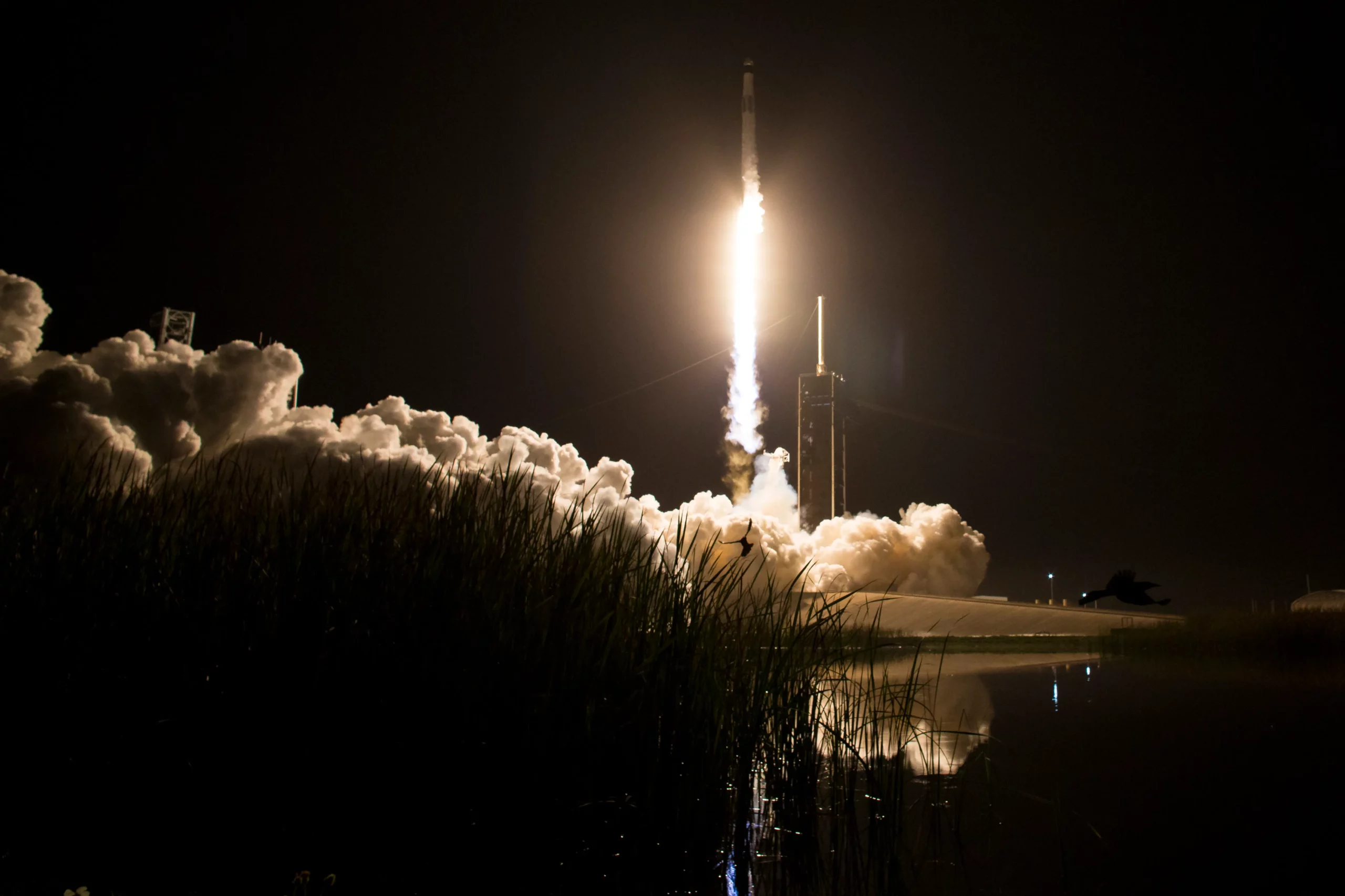 NASA’s SpaceX Crew-8 Launches to International Space Station